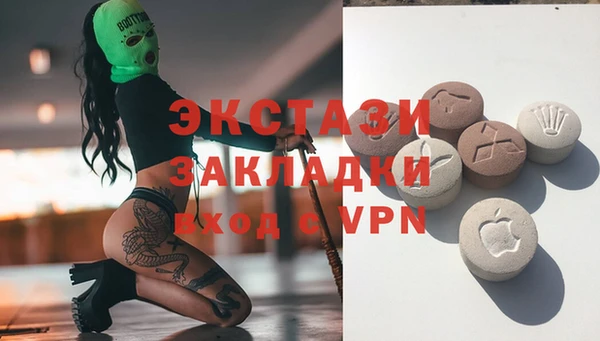 прущие грибы Ельня