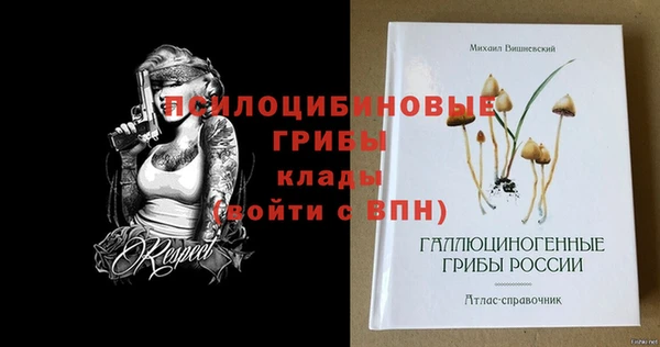 прущие грибы Ельня