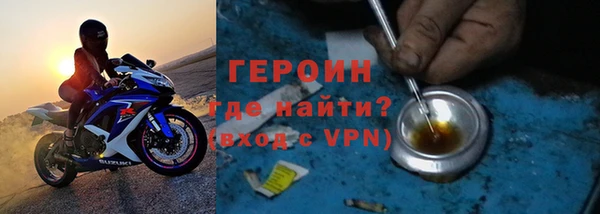 прущие грибы Ельня