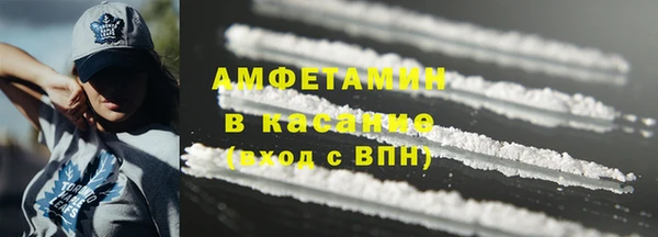 прущие грибы Ельня