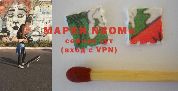 прущие грибы Ельня