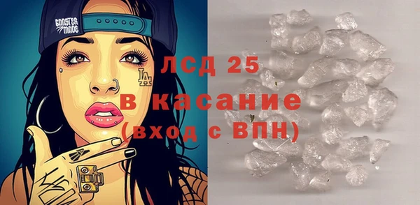 прущие грибы Ельня