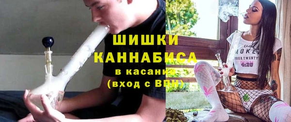 прущие грибы Ельня