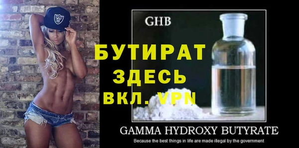 прущие грибы Ельня